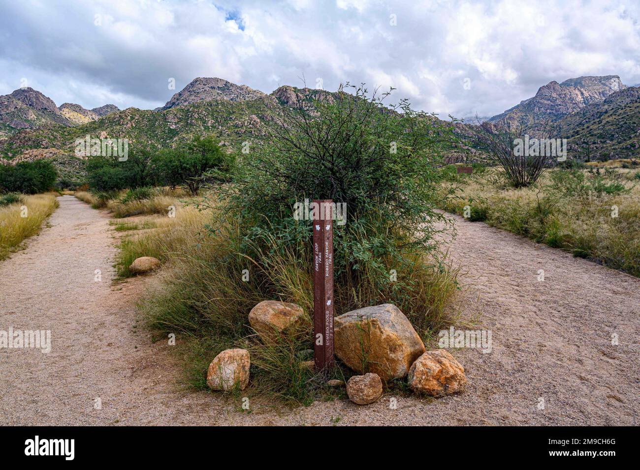 Una scheda descrittiva per i sentieri a Catalina SP, Arizona Foto Stock