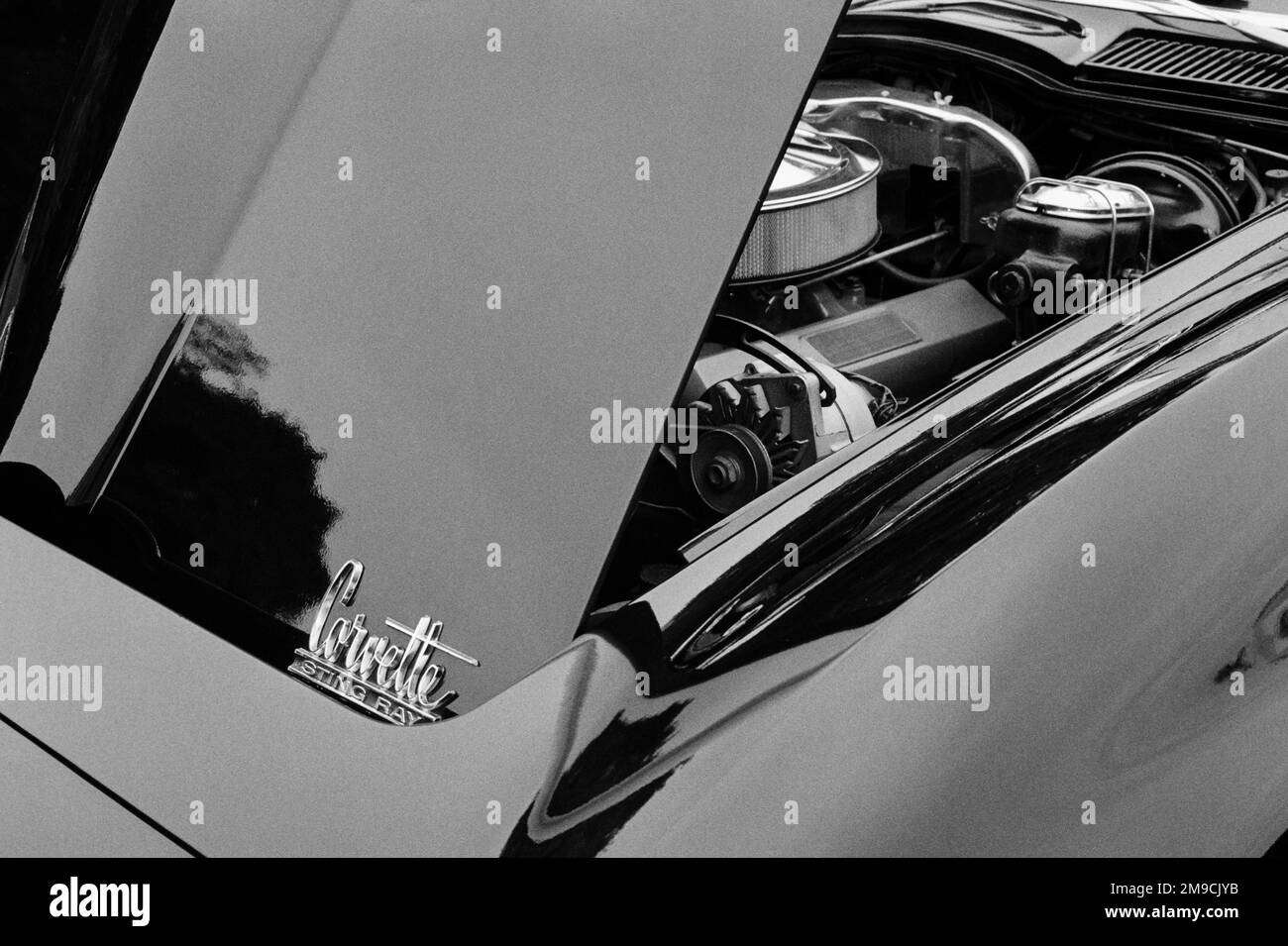 Un cofano aperto e vano motore di un'auto d'epoca Corvette Sting Ray in occasione di una fiera di automobili in Essex, Massachusetts. L'immagine è stata acquisita in nero Foto Stock