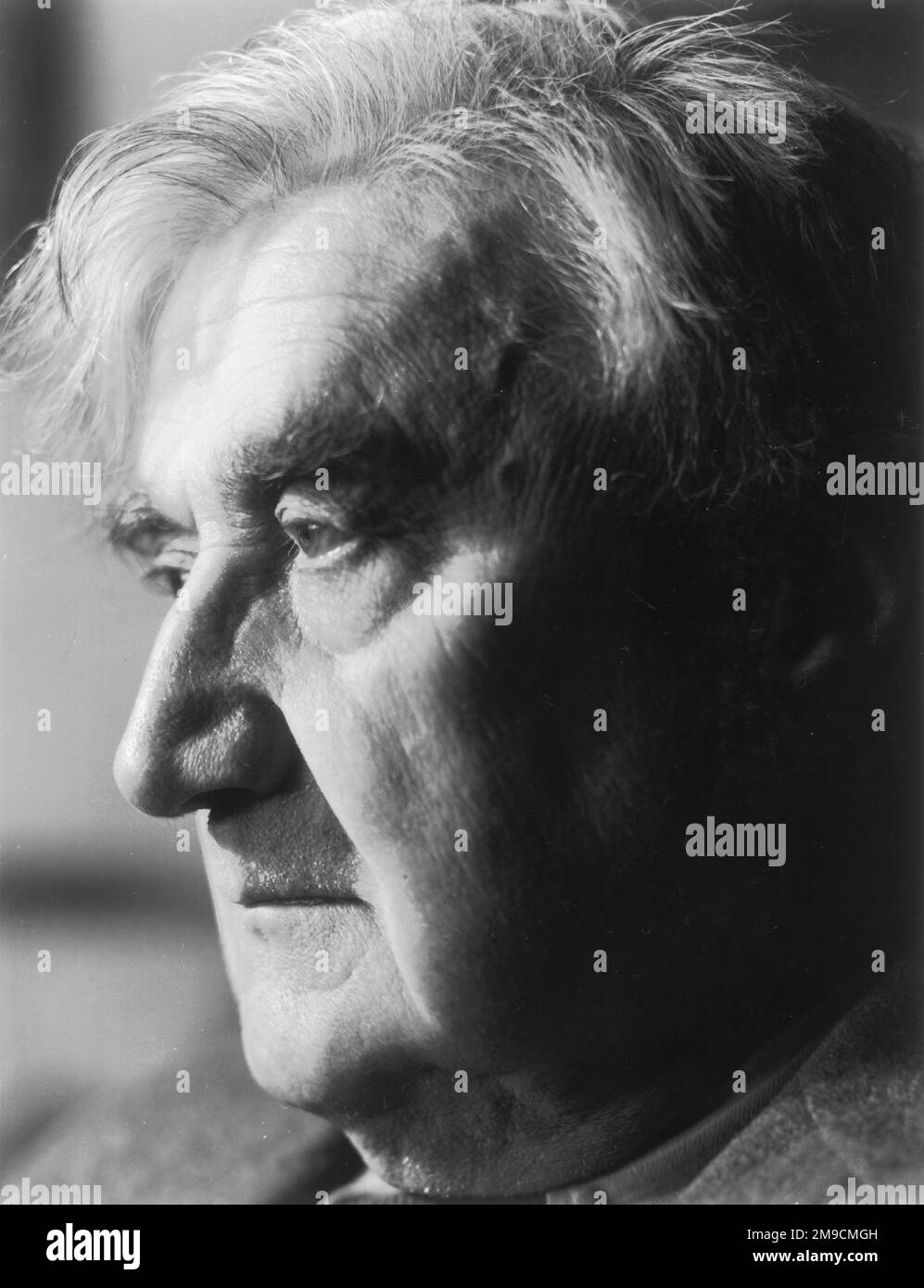 RALPH VAUGHAN WILLIAMS (1872 - 1958), compositore inglese. Foto Stock