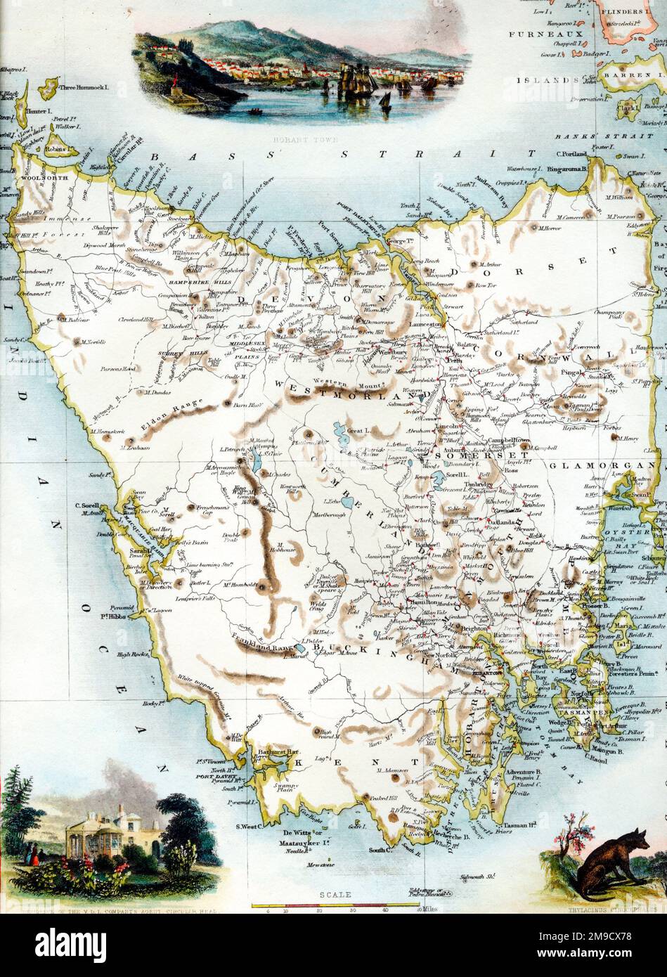 Mappa del 19th° secolo della Tasmania Foto Stock