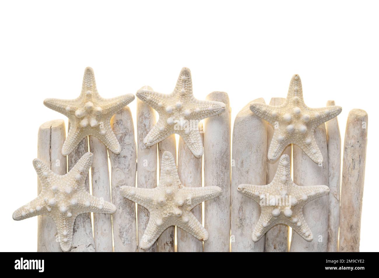 arredamento nautico. driftwood.Starfish e conchiglie di mare su bastoni di driftwood bianchi isolati su sfondo bianco.Summer bordo in uno stile marino. Foto Stock