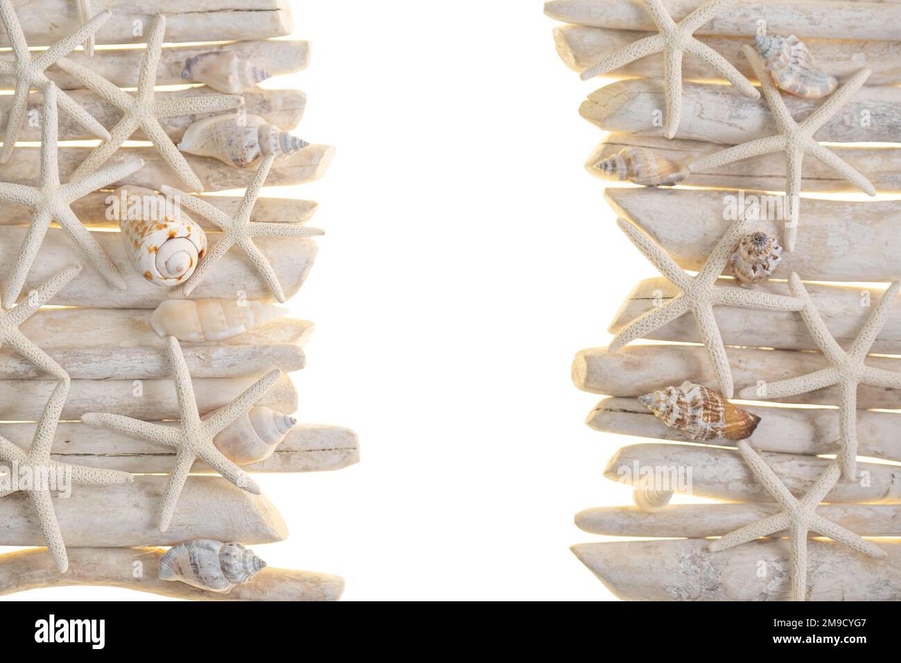 driftwood.Starfish e conchiglie di mare su bastoni di driftwood bianchi isolati su sfondo bianco.Summer bordo in uno stile marino.Texture di stelle marine e. Foto Stock