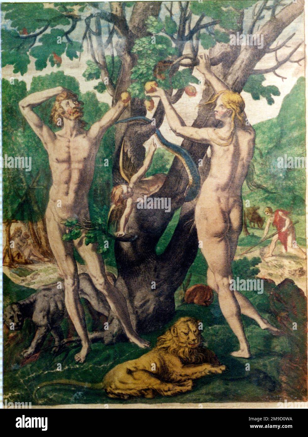 Adam & Eve Foto Stock
