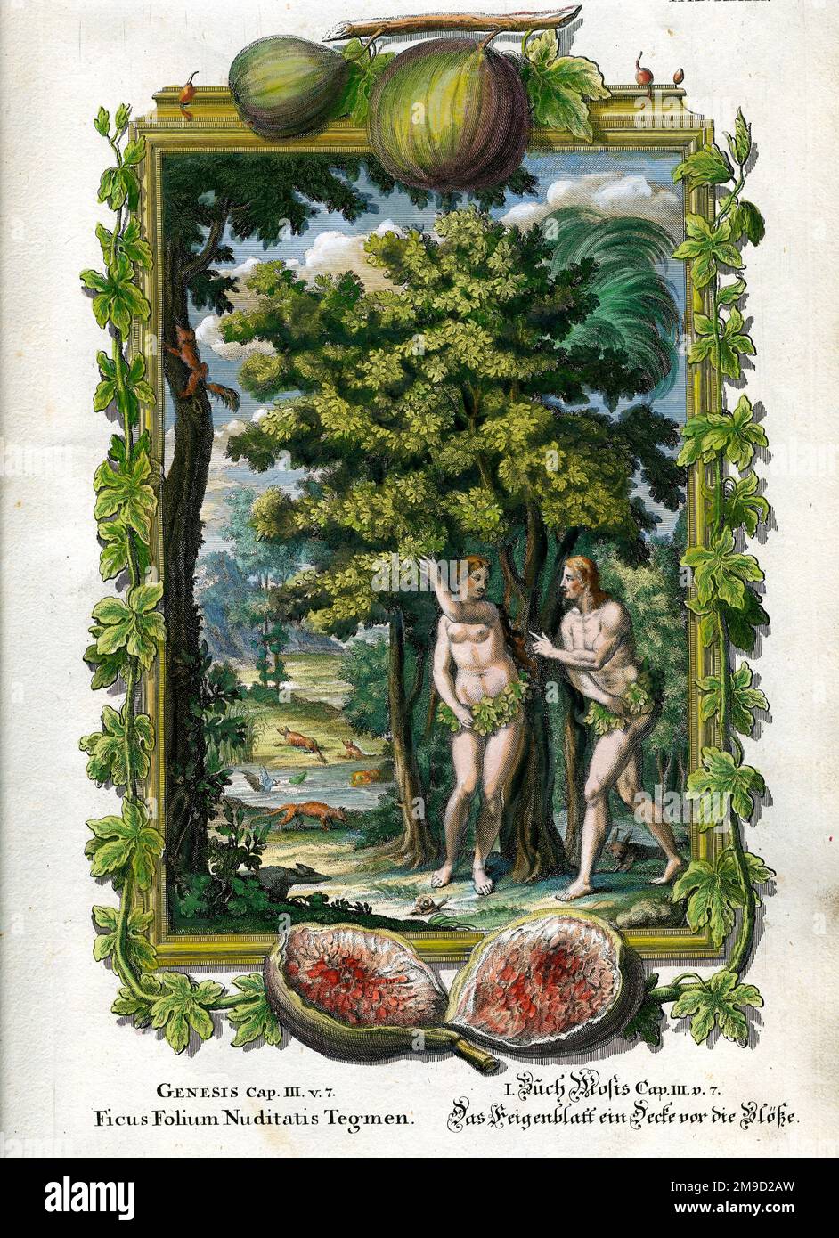 Adam & Eve Foto Stock