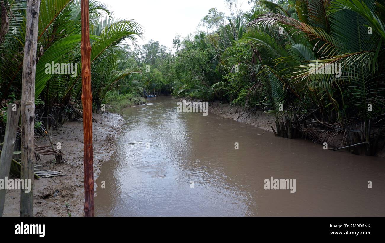 Scenario naturale di Un fiume che scorre verso il mare, con Una fitta foresta di Nypa sullo sfondo, Belo Laut Village, Indonesia Foto Stock