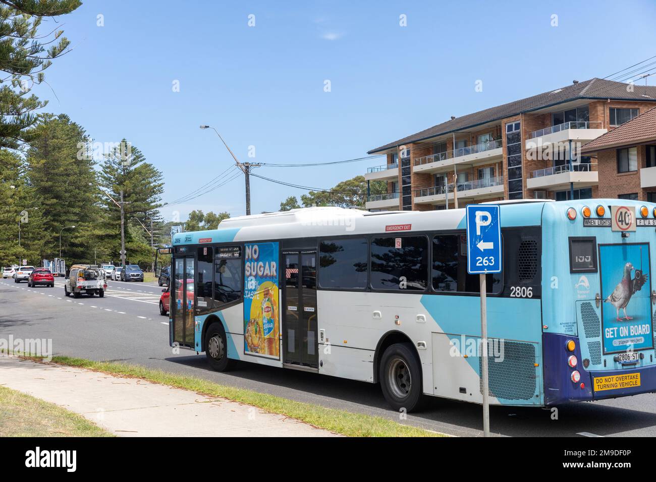 Autobus di Sydney, autobus a un solo ponte con trasporto pubblico, su Pittwater Road a Newport Beach, Sydney, NSW, Australia Foto Stock