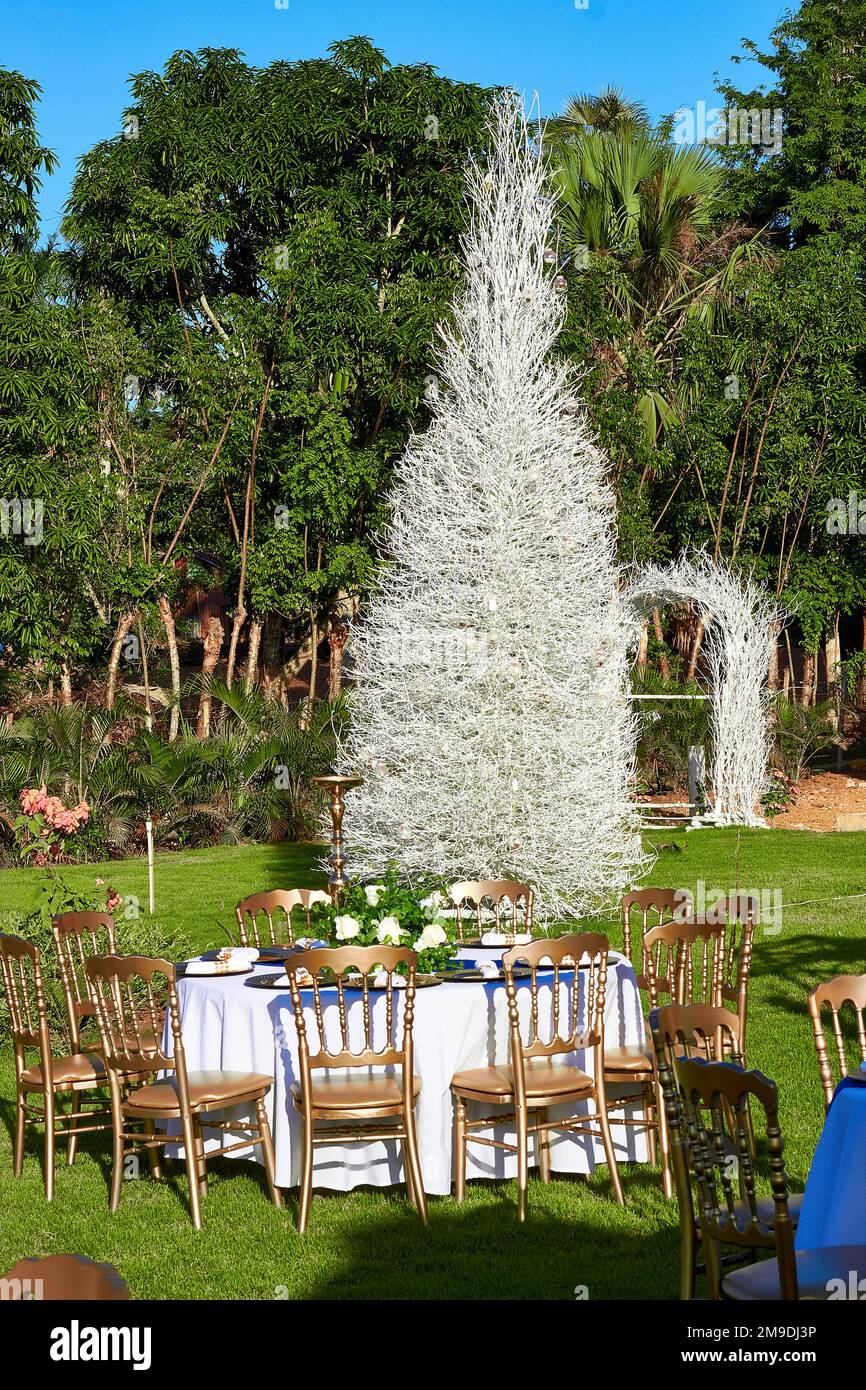 splendido tavolo da sposa con sedie bianche e fiori Foto Stock