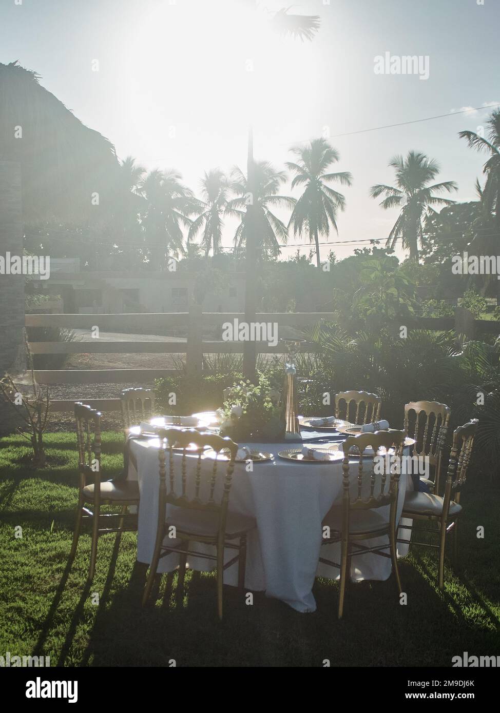 splendido tavolo da sposa con sedie bianche e fiori Foto Stock