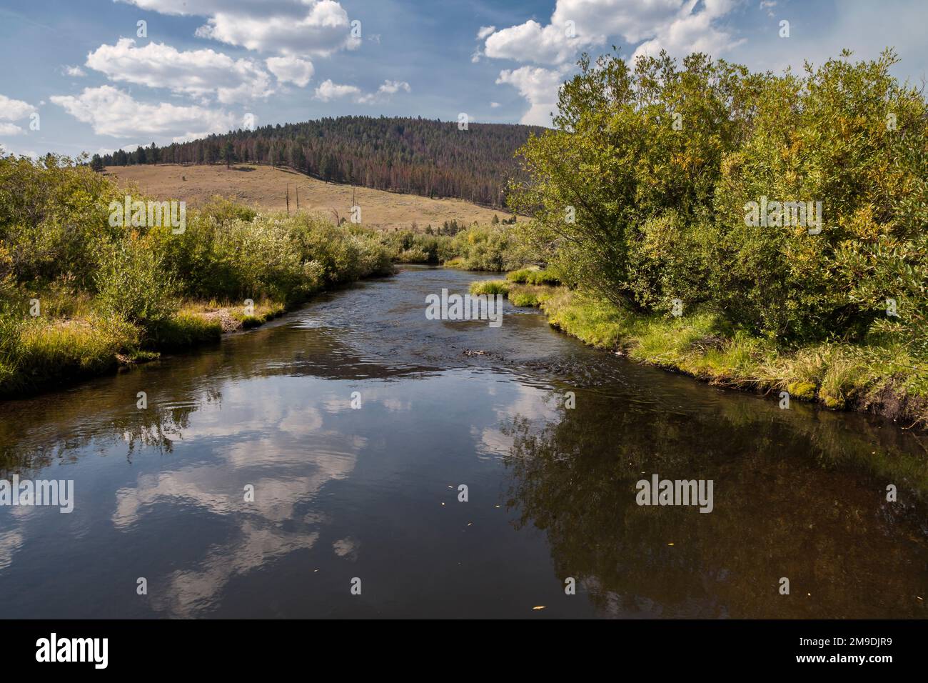 Forcella nord del fiume Big Hole nel sito del campo di battaglia nazionale di Bighole in Montana. Foto Stock