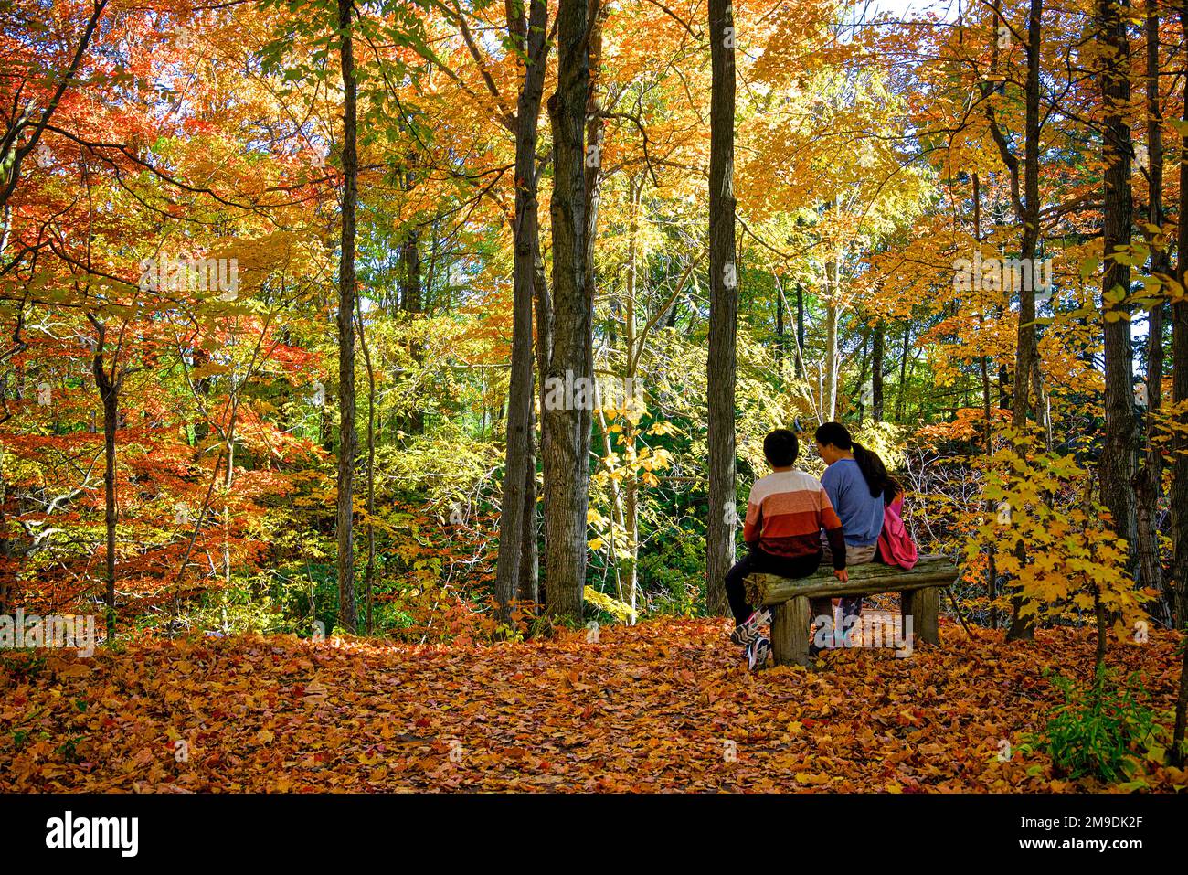 Madre e bambino seduti su una panchina del parco nella foresta autunnale Foto Stock