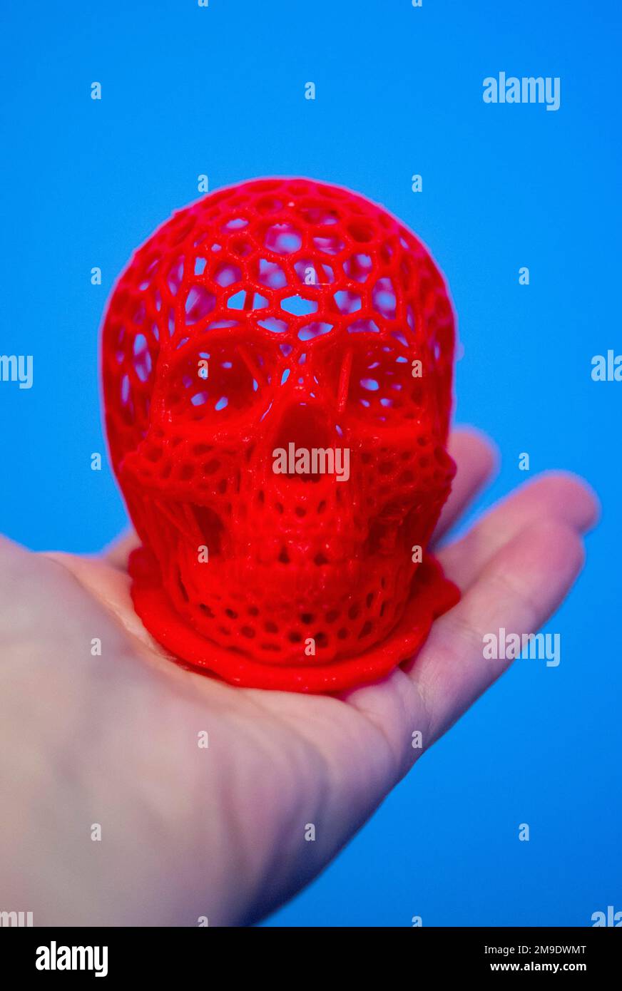 Un uomo che tiene in mano un modello di un prototipo di cranio umano stampato su una stampante 3D Foto Stock