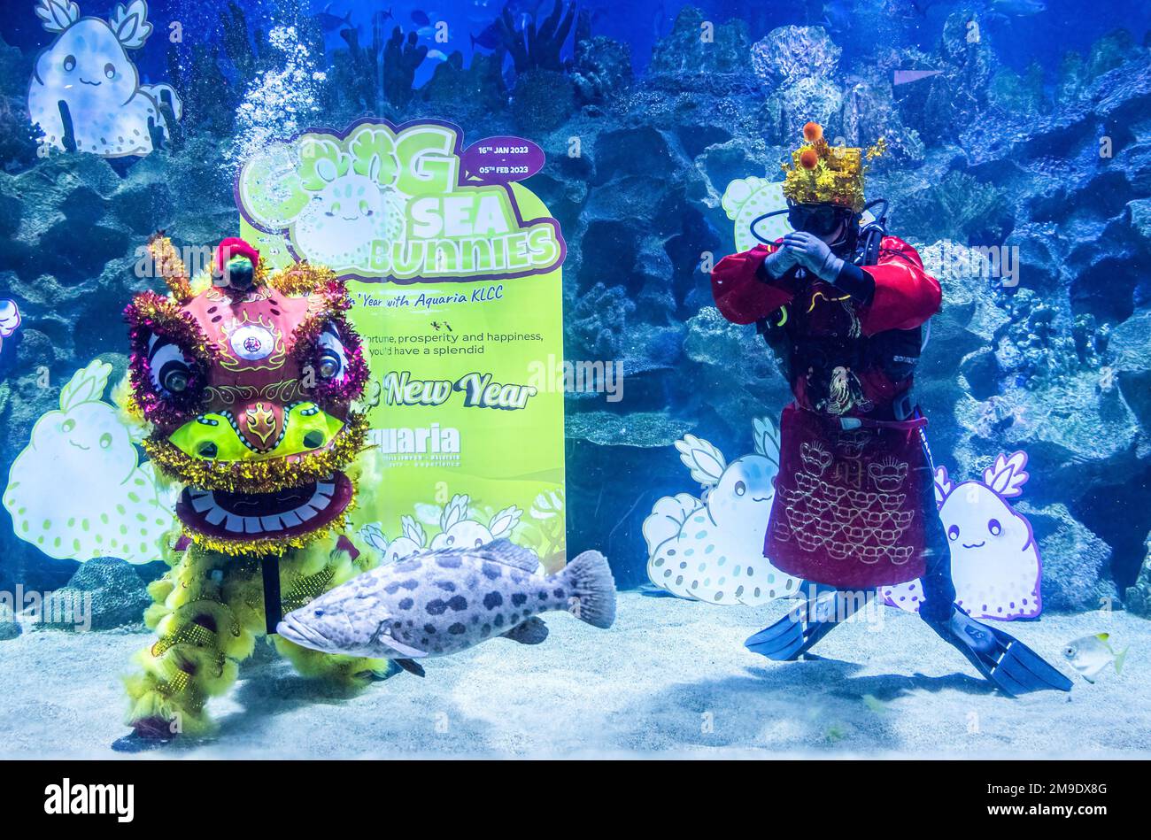 Kuala Lumpur, Malesia. 18th Jan, 2023. I subacquei vestiti con un costume di God of Fortune e una ballerina di leoni si esibiscono all'Aquaria KLCC in vista delle celebrazioni del Capodanno lunare. Il nuovo anno lunare, che cade il 22 gennaio 2023, accoglie l'anno del coniglio, che sarà celebrato dai cinesi di tutto il mondo. (Foto di Wong Fok Loy/SOPA Images/Sipa USA) Credit: Sipa USA/Alamy Live News Foto Stock