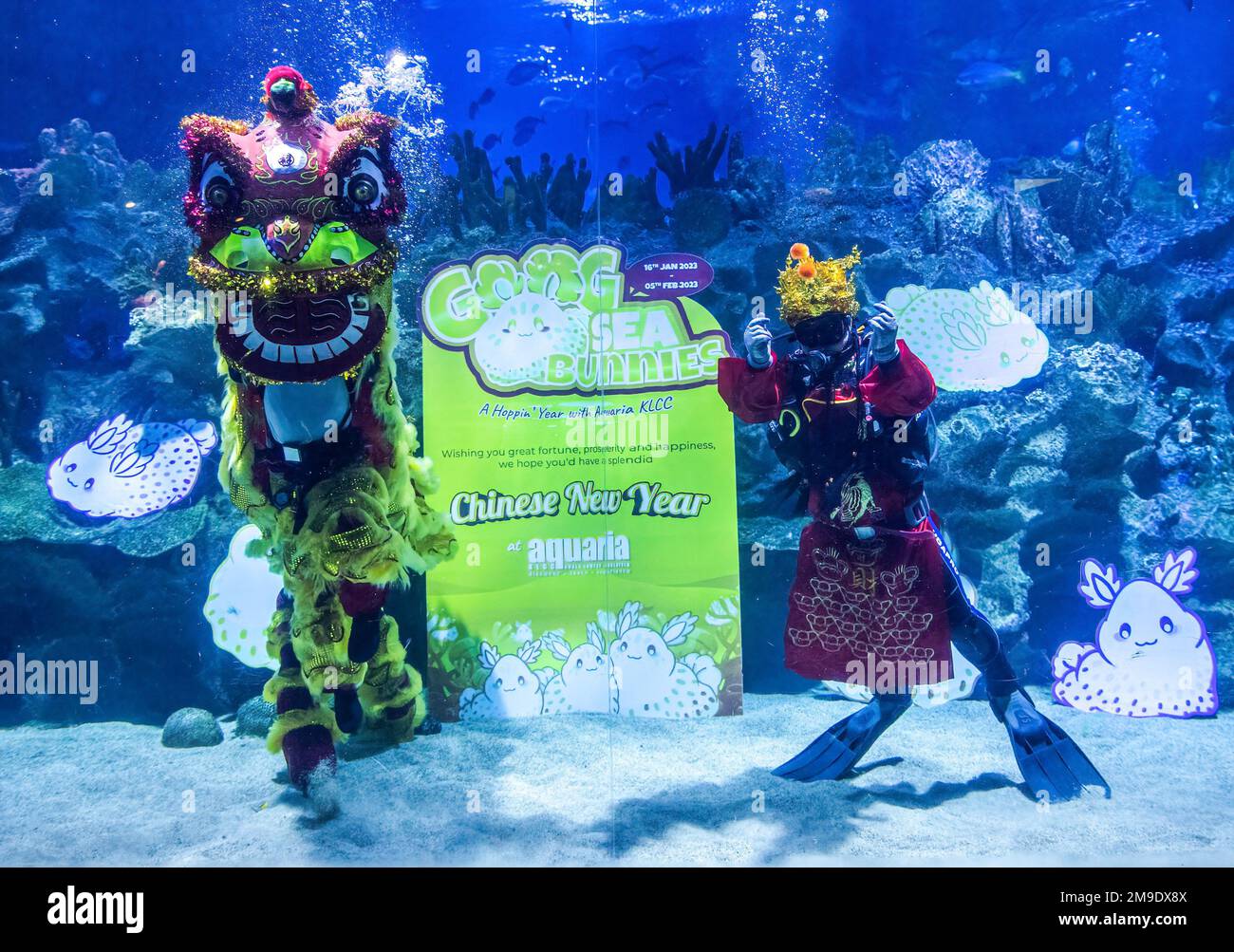 Kuala Lumpur, Malesia. 18th Jan, 2023. I subacquei vestiti con un costume di God of Fortune e una ballerina di leoni si esibiscono all'Aquaria KLCC in vista delle celebrazioni del Capodanno lunare. Il nuovo anno lunare, che cade il 22 gennaio 2023, accoglie l'anno del coniglio, che sarà celebrato dai cinesi di tutto il mondo. (Foto di Wong Fok Loy/SOPA Images/Sipa USA) Credit: Sipa USA/Alamy Live News Foto Stock