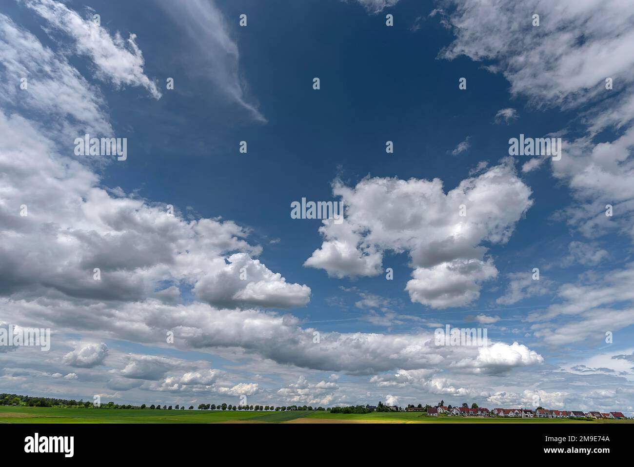 Paesaggio francone con viale di alberi, cielo nuvoloso, destra Kalchreuth, Franconia media, Baviera, Germania Foto Stock