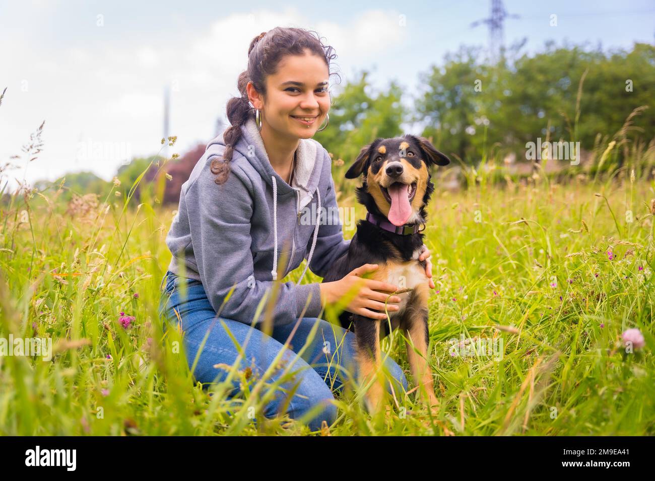 Un cane carino seduto in un giorno di primavera soleggiato in un prato di fiori con la bocca aperta e la lingua che sporge. Border Collie, Pitbull e Boxer mix Foto Stock