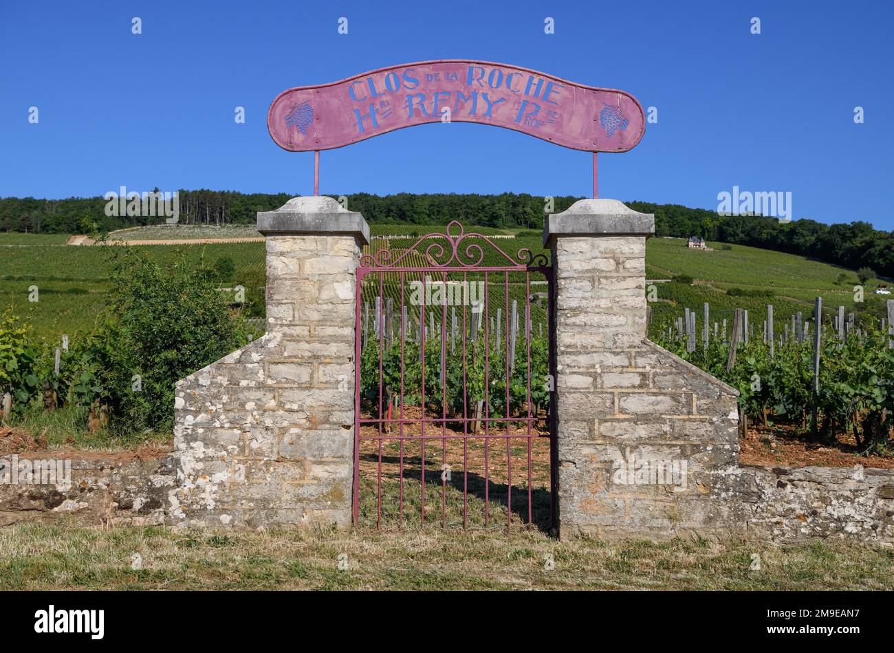 Porta di pietra presso il vigneto della cantina Clos de la Roche, Route des Grand-Crus, Route of fine Wines, vicino a Morey-Saint-Denis, dipartimento Cote-d'Or Foto Stock