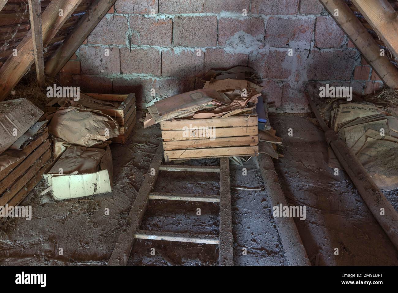 Trova documento dal 1930s in una soffitta, Baviera, DGermany Foto Stock