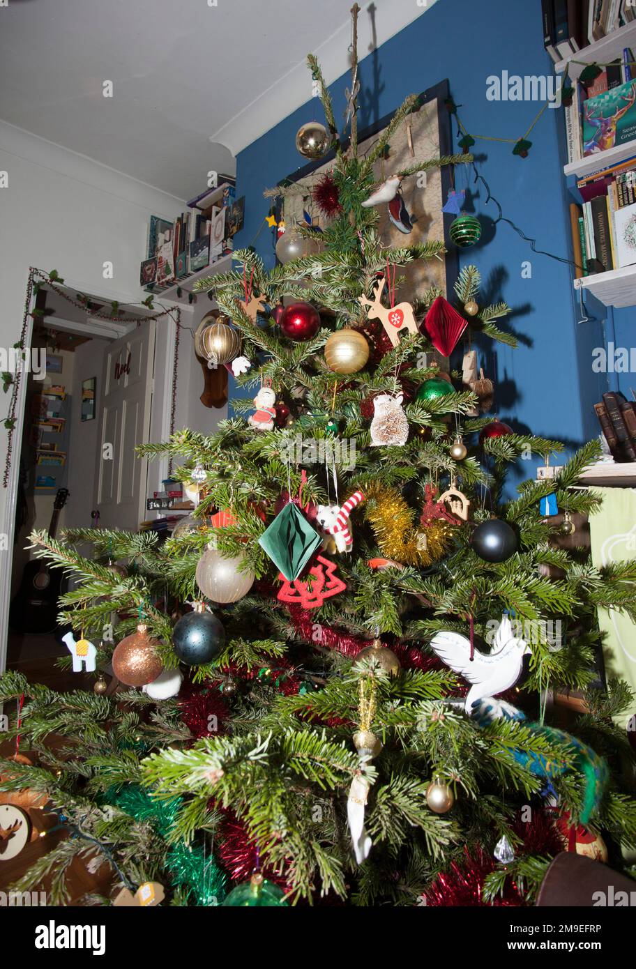Albero di Natale Nordmann Norman abete decorazioni periodo festivo cottage inglese  decorato per Natale Foto stock - Alamy