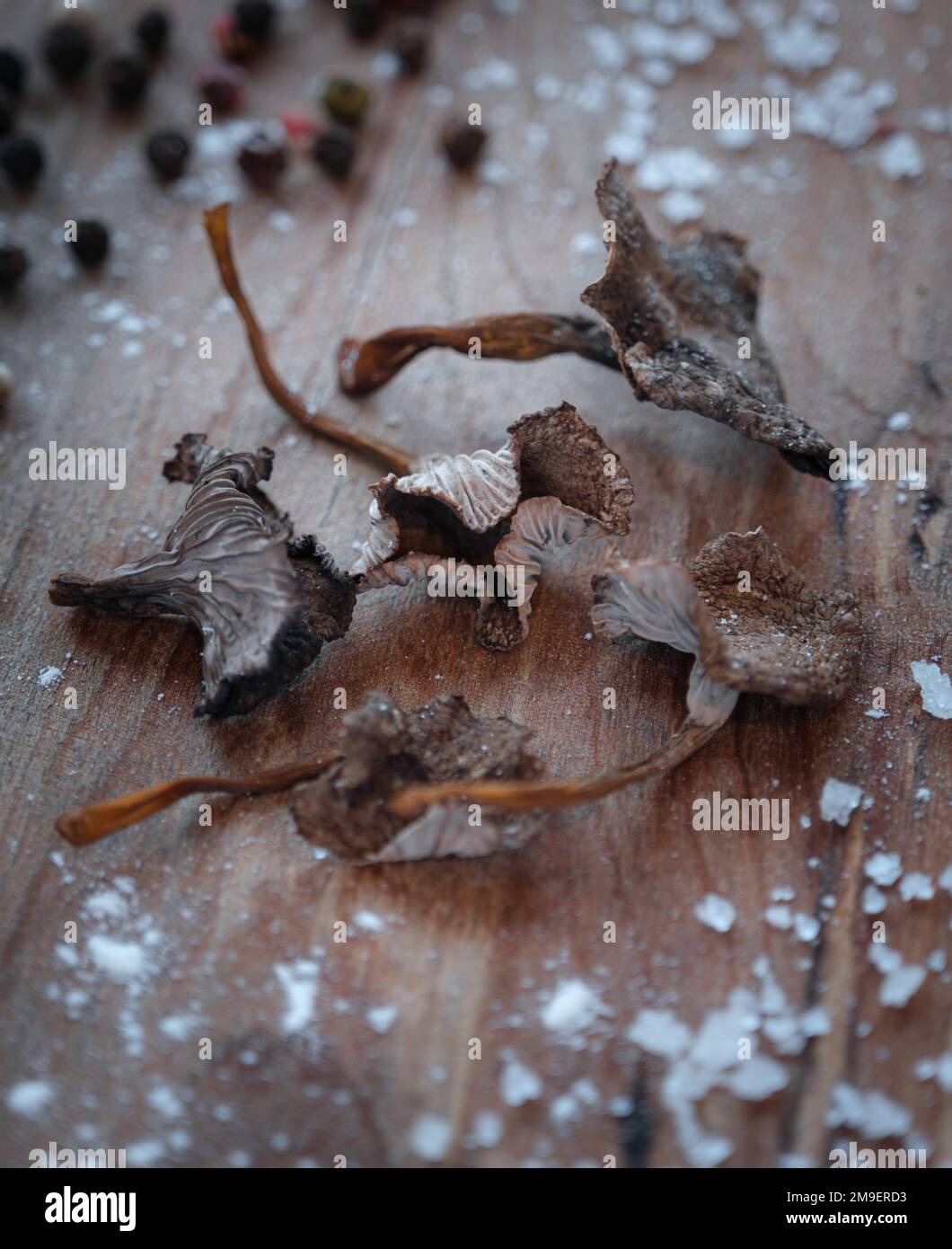 I lampadari invernali secchi Foto Stock