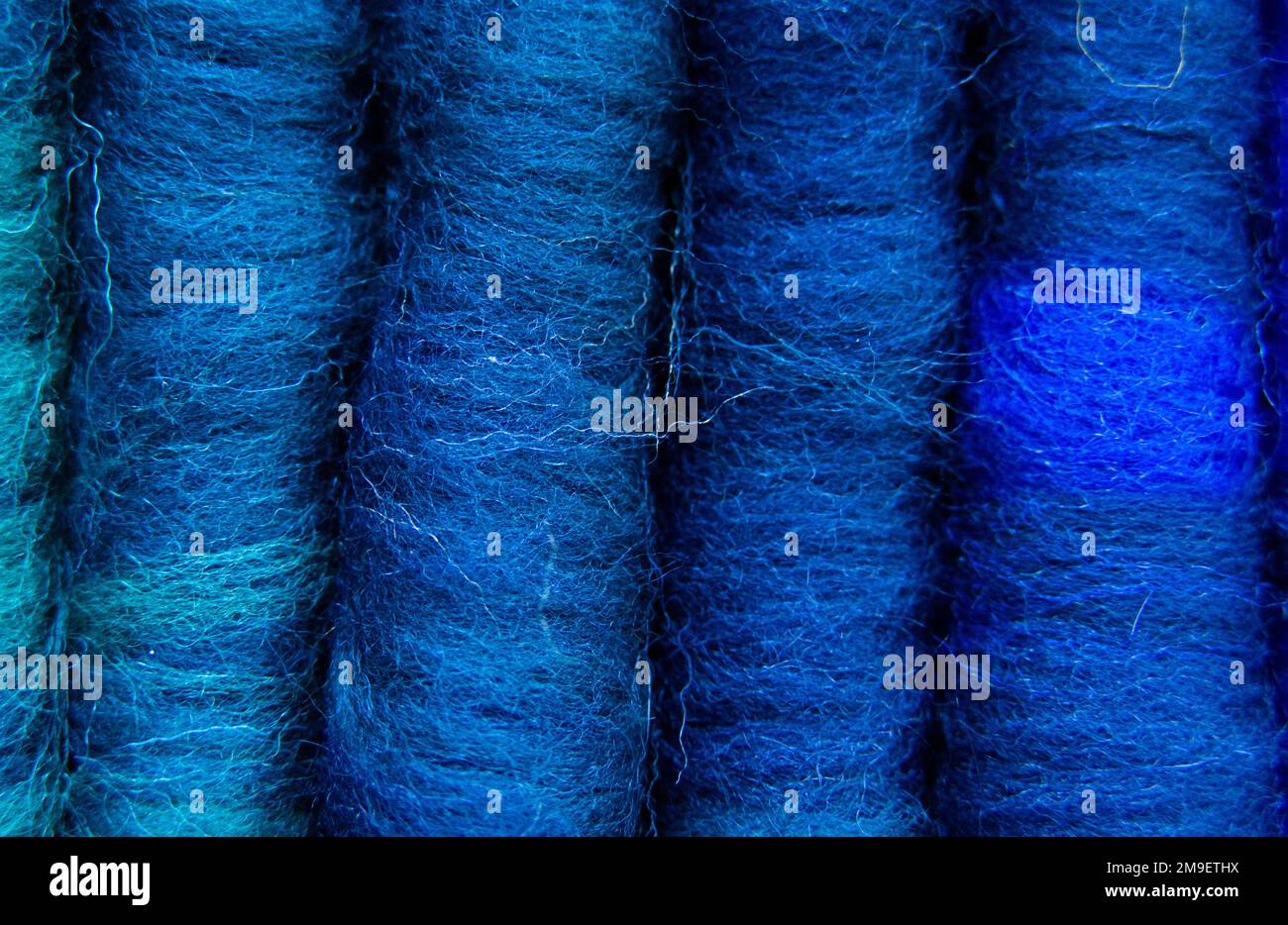 Primo piano di una serie di stracci in lana merino in varie sfumature di blu. I rotoli sono rotoli di fibra come la lana, generalmente utilizzati per la filatura del filato di lana. Foto Stock