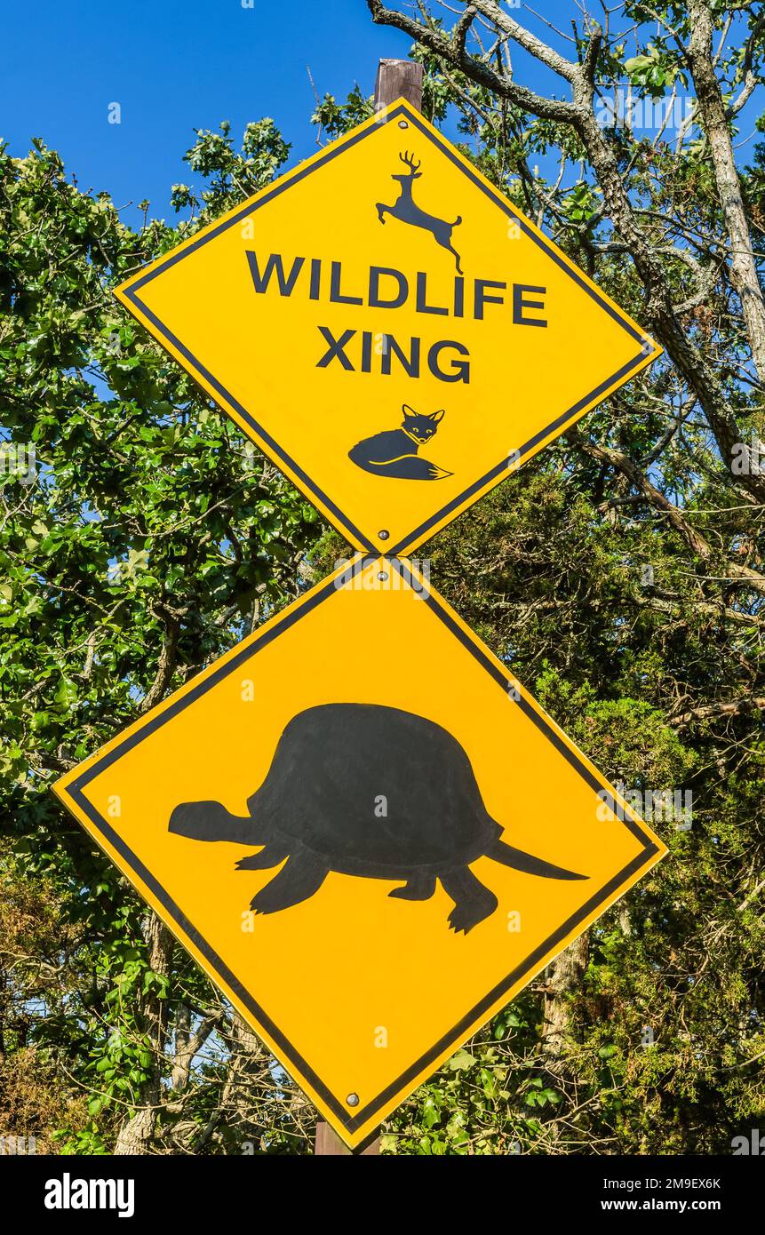 Cartello stradale giallo di attraversamento della fauna selvatica, Long Island, New York state, USA Foto Stock