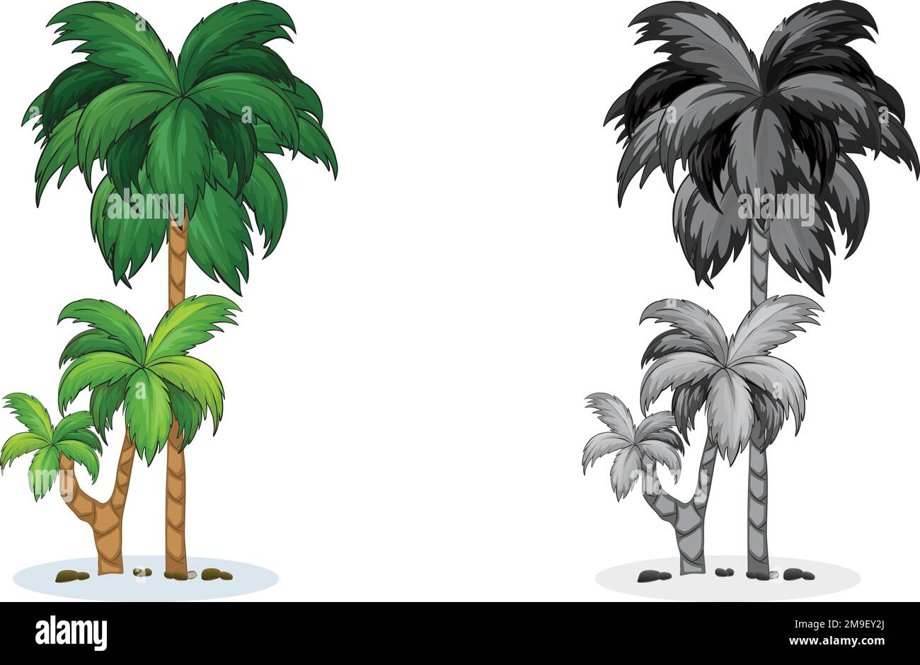 Alberi di palma tropicali, luminoso decor tropicale. Illustrazione di un cartoon piatto stile vettoriale isolato su sfondo bianco Illustrazione Vettoriale