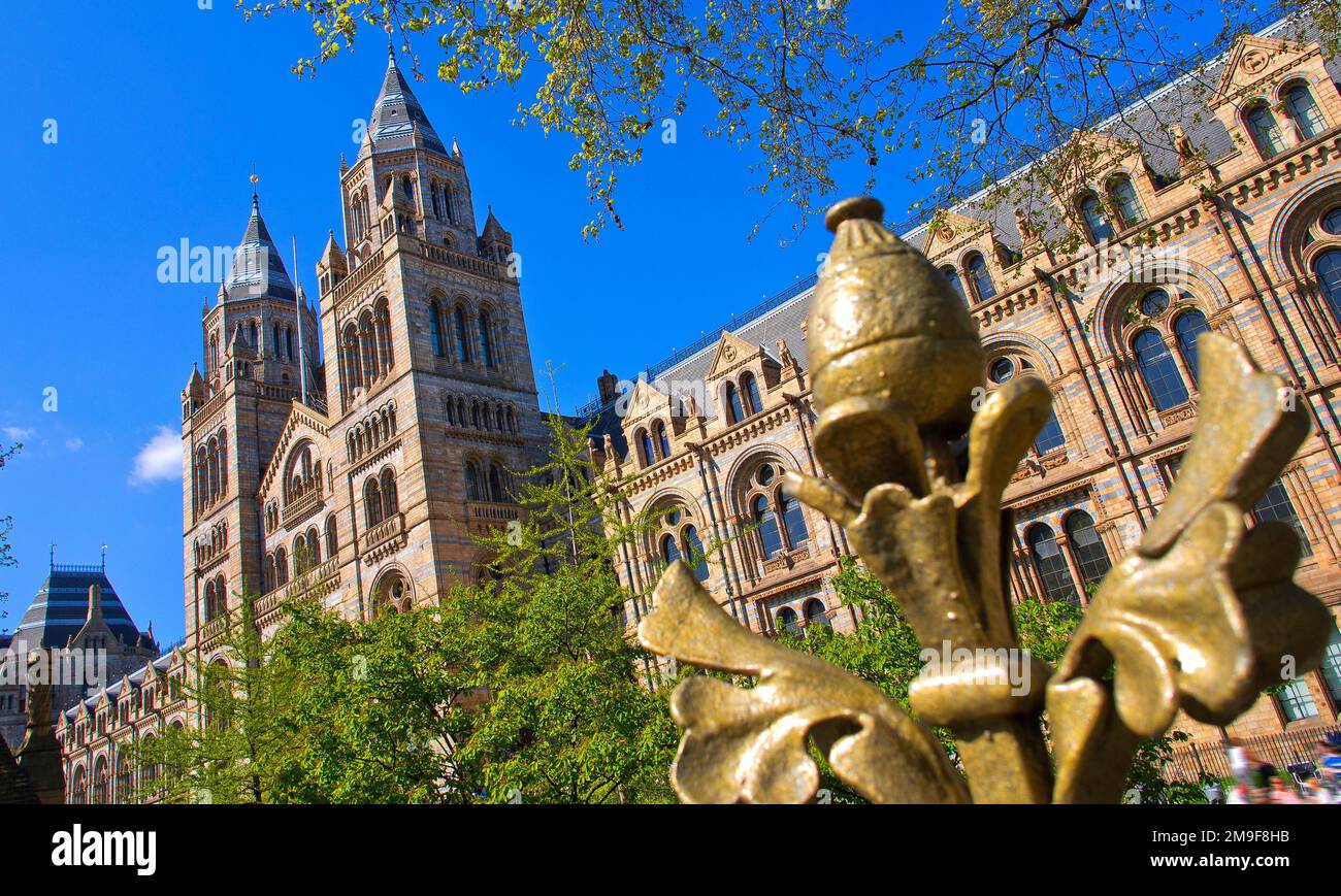 Museo di Storia Naturale, Londra, Inghilterra, Gran Bretagna, Europa Foto Stock