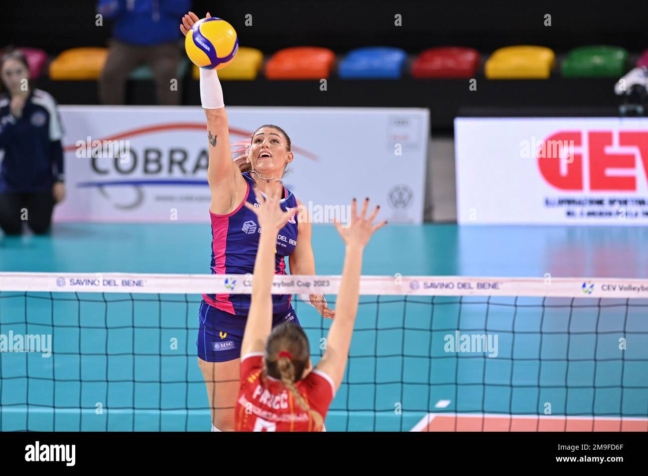 Camilla Mingardi (Savino del bene Scandicci) durante Savino del bene Scandicci vs Mladost Zagreb, Volley CEV Cup Women Championship a Firenze, 17 2023 gennaio Foto Stock