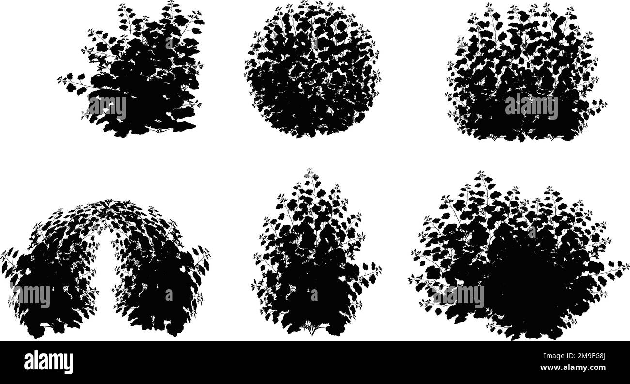 Arbusto giardino realistico, cespuglio stagionale, bosso, albero corona cespuglio fogliage.Set di pianta nera ornamentale nella forma di un hedge.for decorare di un parco, un Illustrazione Vettoriale