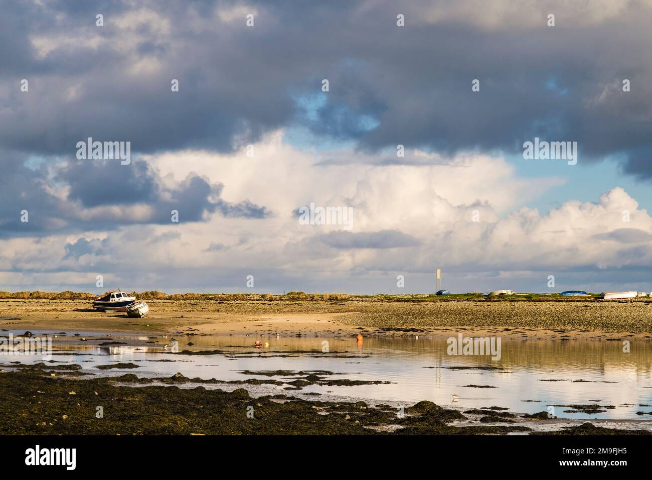 Barche a terra su un banco di sabbia con Greenshank (Tringa nebularia) che nutre gli uccelli in primo piano davanti alla marea in arrivo nel porto di Red Wharf Foto Stock