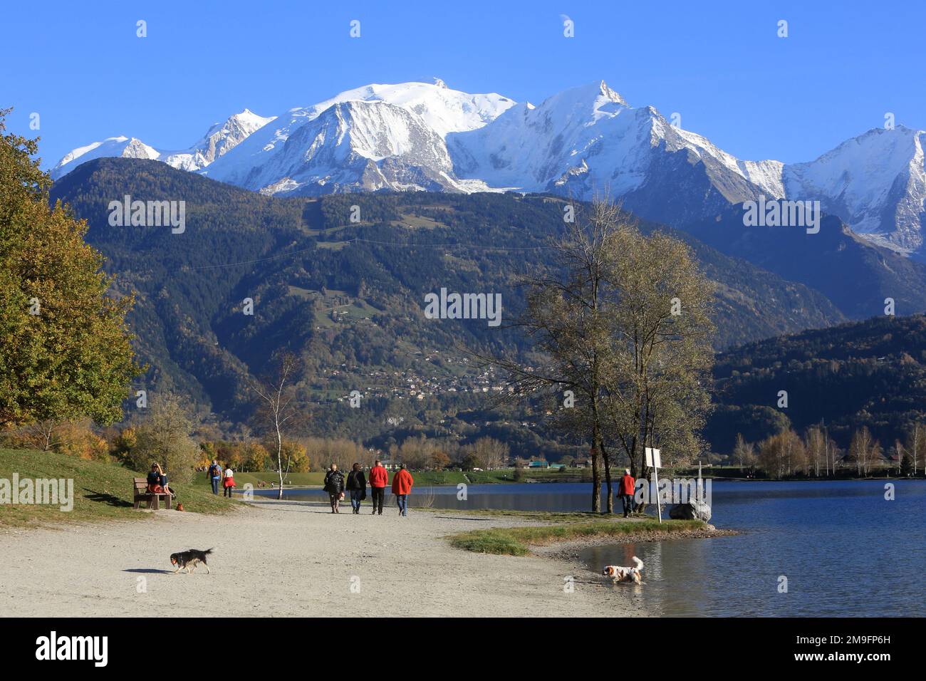 Monte Bianco visto dal lago di Passy. Alta Savoia. Auvergne-Rhône-Alpi. Francia. Europa. Foto Stock