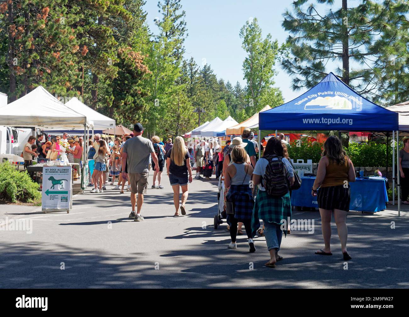 Il mercato degli agricoltori di Tahoe City, Placer County, California, è frequentato e popolare e vende carne, frutta, verdura e prodotti artigianali nel giugno 2022 Foto Stock