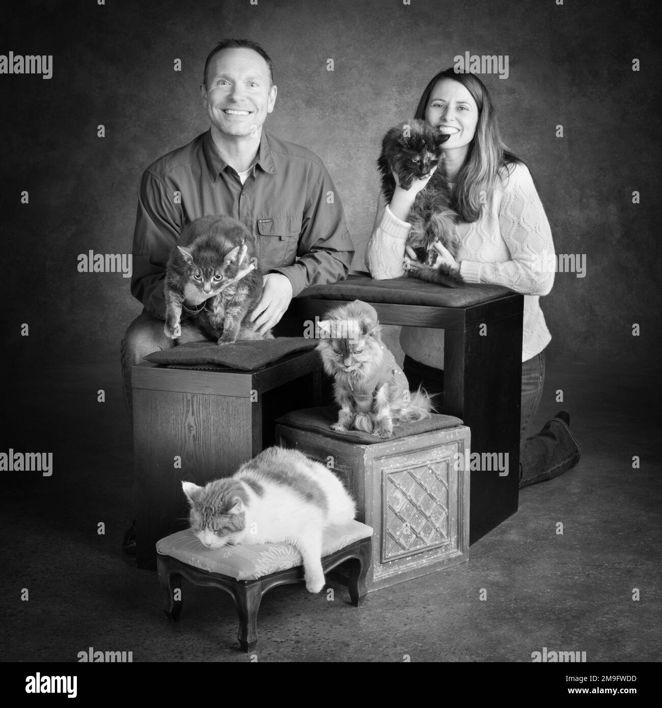 Studio ritratto di uomo sorridente e donna con quattro gatti Foto Stock