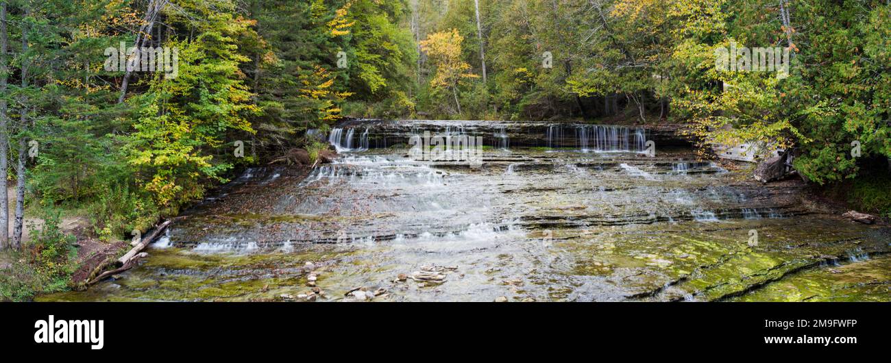 Cascata in una foresta, Au Train Falls, Munising, Alger County, Upper Peninsula, Michigan, Stati Uniti Foto Stock