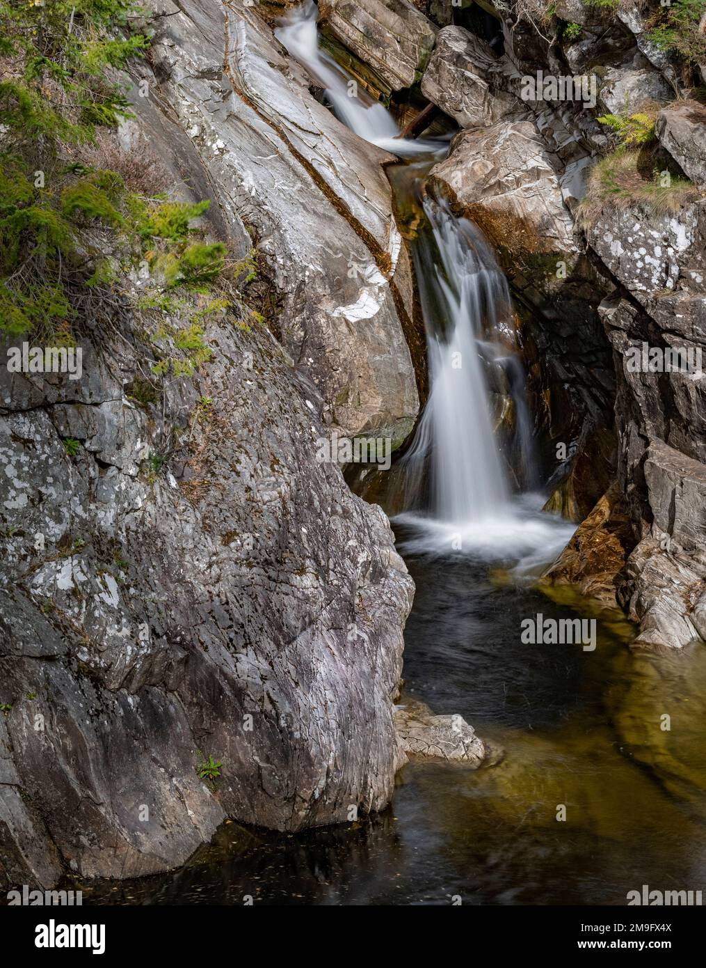 Una vista di una delle cascate alle Cascate di Bruar, Perth e Kinross, Scozia Foto Stock