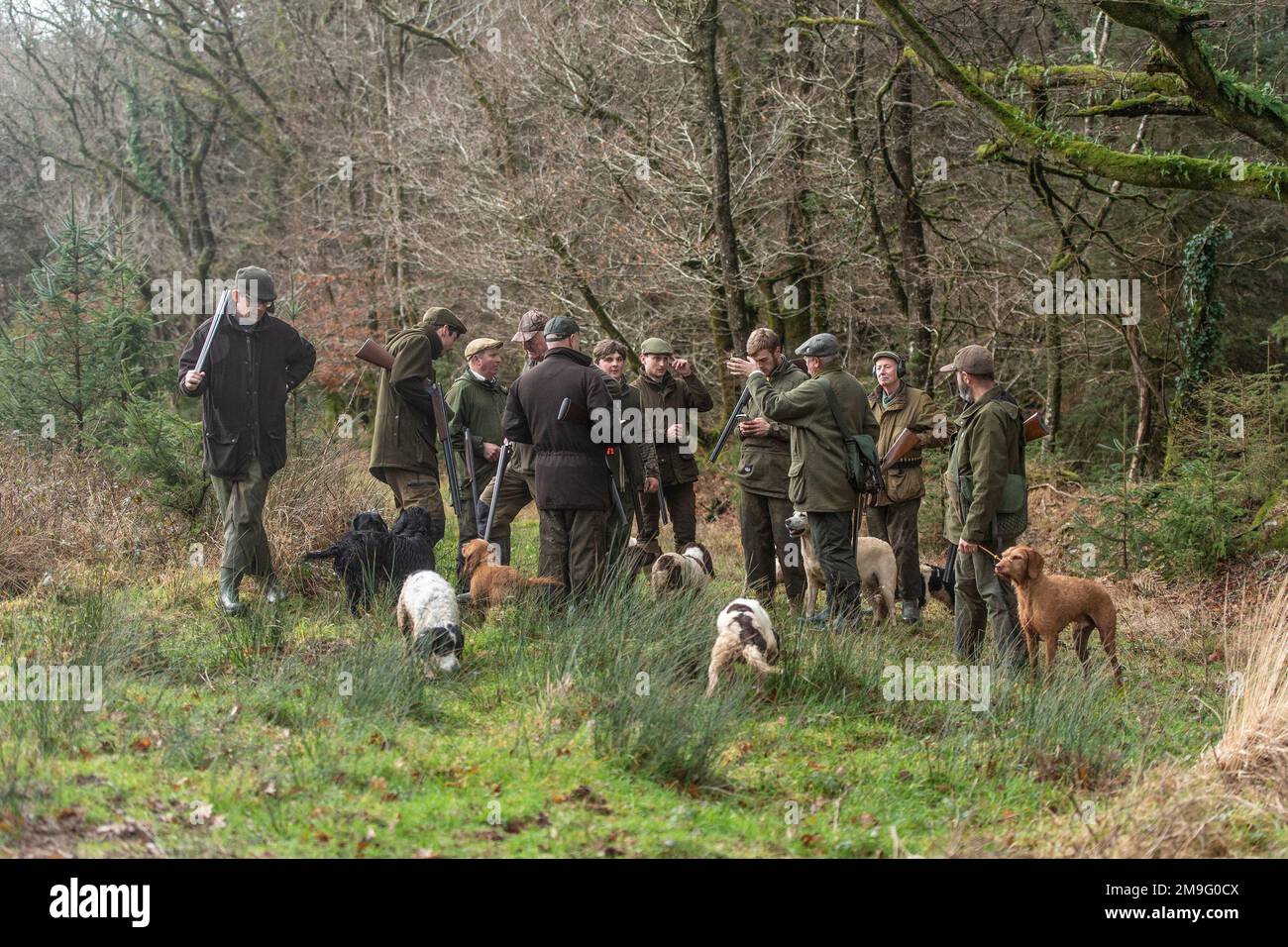 cacciatori e loro cani Foto Stock