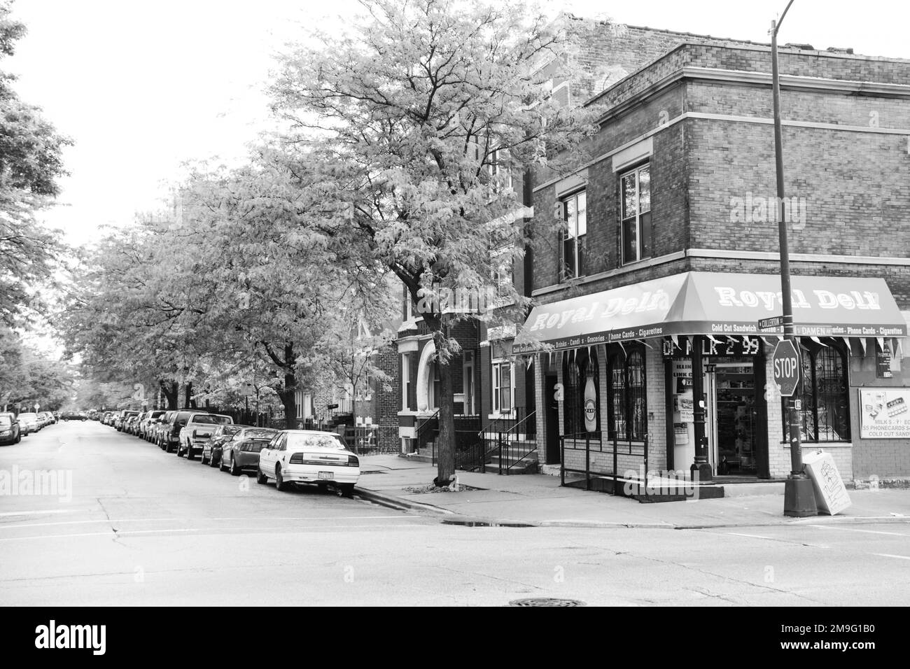 Edifici e strade, Pilsen, Chicago, Illinois, USA Foto Stock