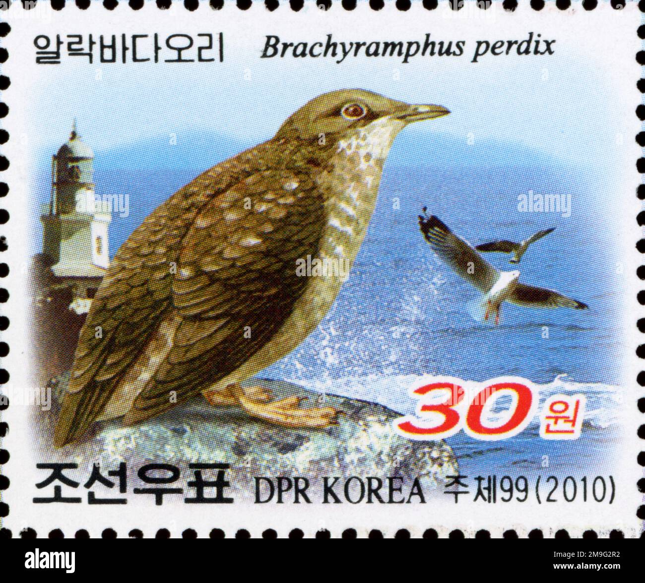 2010 Set di timbri per la Corea del Nord. Salone internazionale dei francobolli BIRDPEX 9 - Anversa, Paesi Bassi. Murrelet, Brachyramphus perdix Foto Stock