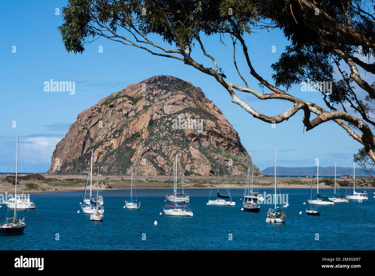 Barche a vela a Morro Bay, California, USA Foto Stock