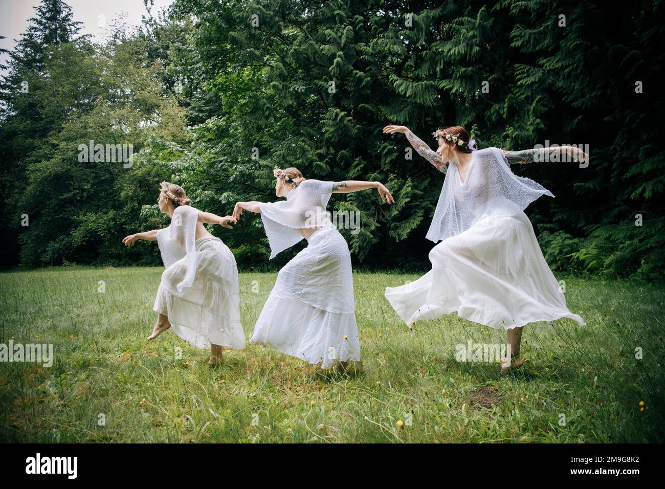 Tre ninfe donna nella foresta, Bainbridge Island, Washington, Stati Uniti d'America Foto Stock