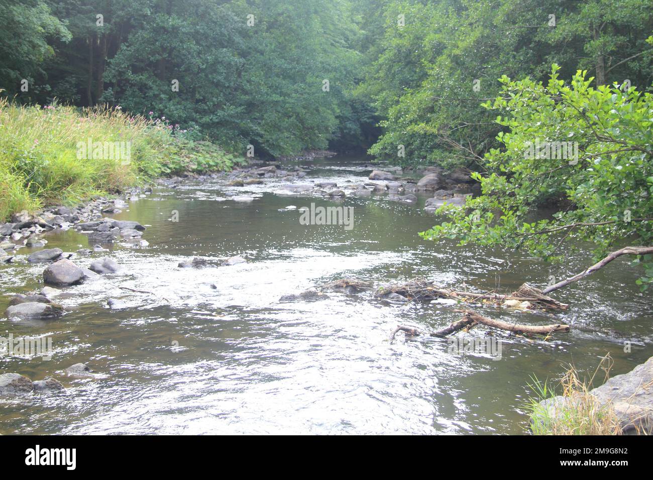 Il fiume Nahe a Nohen, nella Germania sudoccidentale Foto Stock