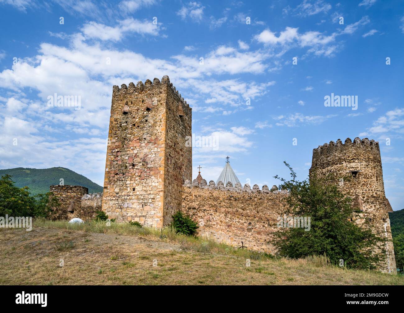 Castello complesso Ananuri in Georgia Foto Stock