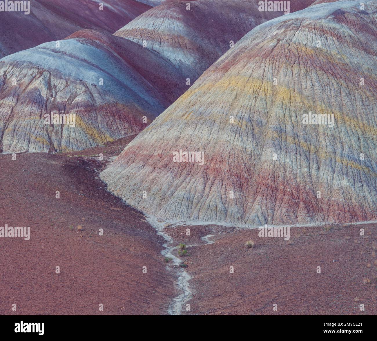 Paesaggio con colline colorate nel deserto, Chinle eroso, Paria Plateau, Vermilion Cliffs National Monument, Arizona, USA Foto Stock