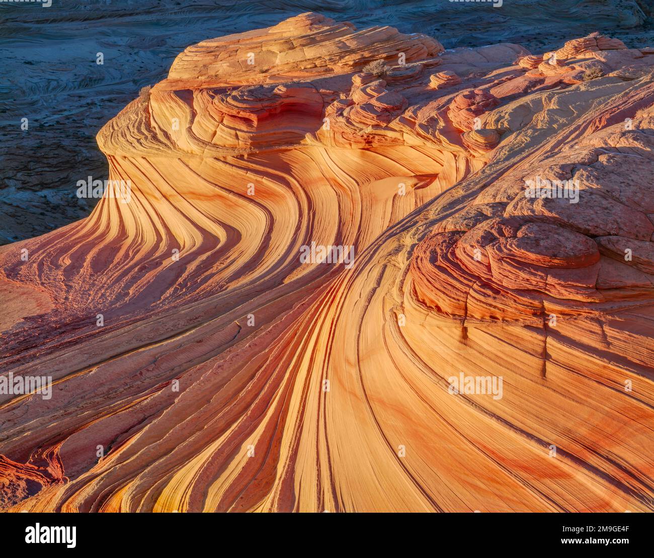 Dune di sabbia di pietra arenaria scolpita dal vento, Paria Canyon, Vermilion Cliffs Wilderness Area, Arizona, USA Foto Stock