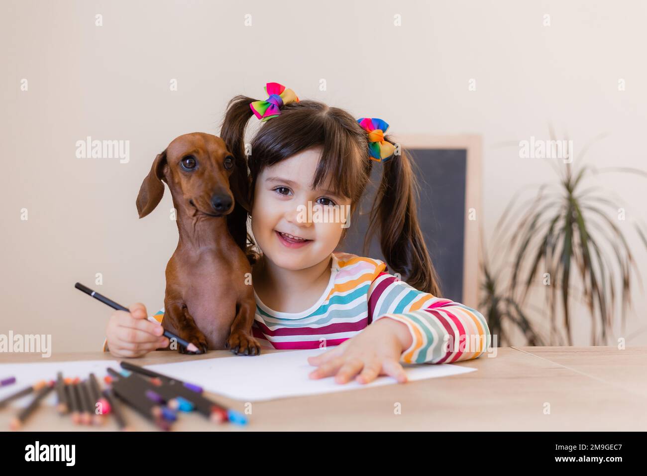 carino ragazza piccola disegna con il suo cane amico dachshund. Bambini e animali. Cani ammessi Foto Stock