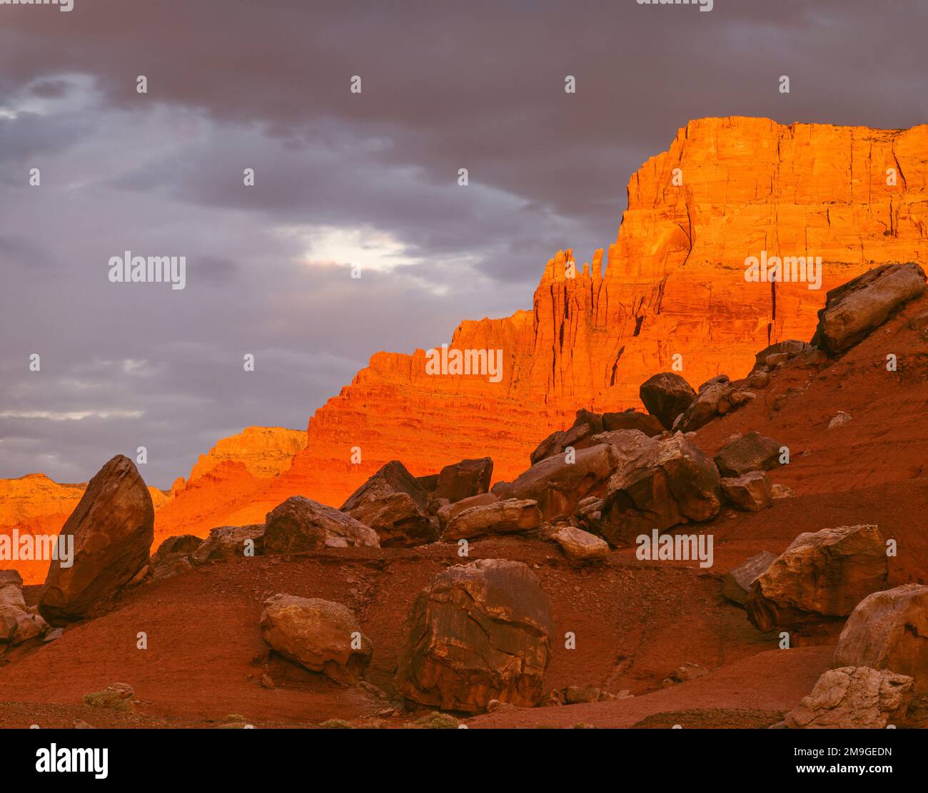 Paesaggio con massi di Shinarump in cima alla formazione Moenkopi vicino a Lees Ferry, Vermilion Cliffs Wilderness Area, Arizona, Stati Uniti Foto Stock
