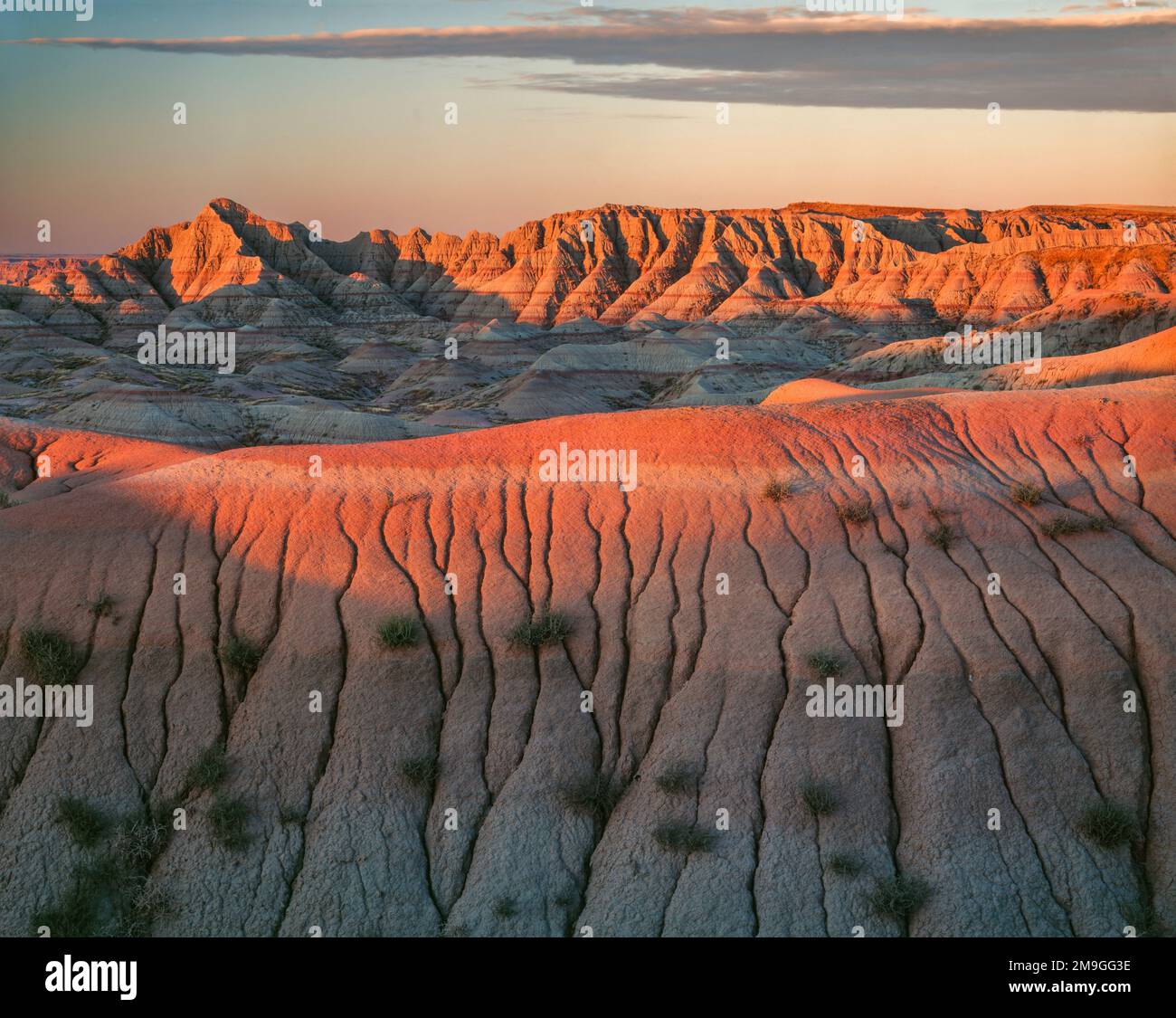 Paesaggio con vista delle colline nel deserto presso la Vermilion Cliffs Wildlife Area al tramonto, Arizona, USA Foto Stock