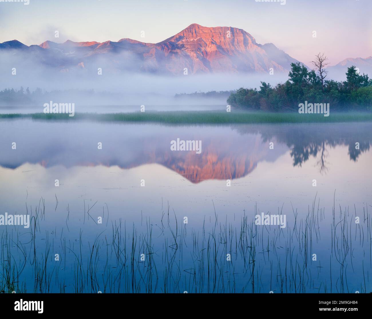 Lower Waterton Lake e Vimy Peak in nebbia all'alba, Waterton Glacier International Peace Park, Canada Foto Stock