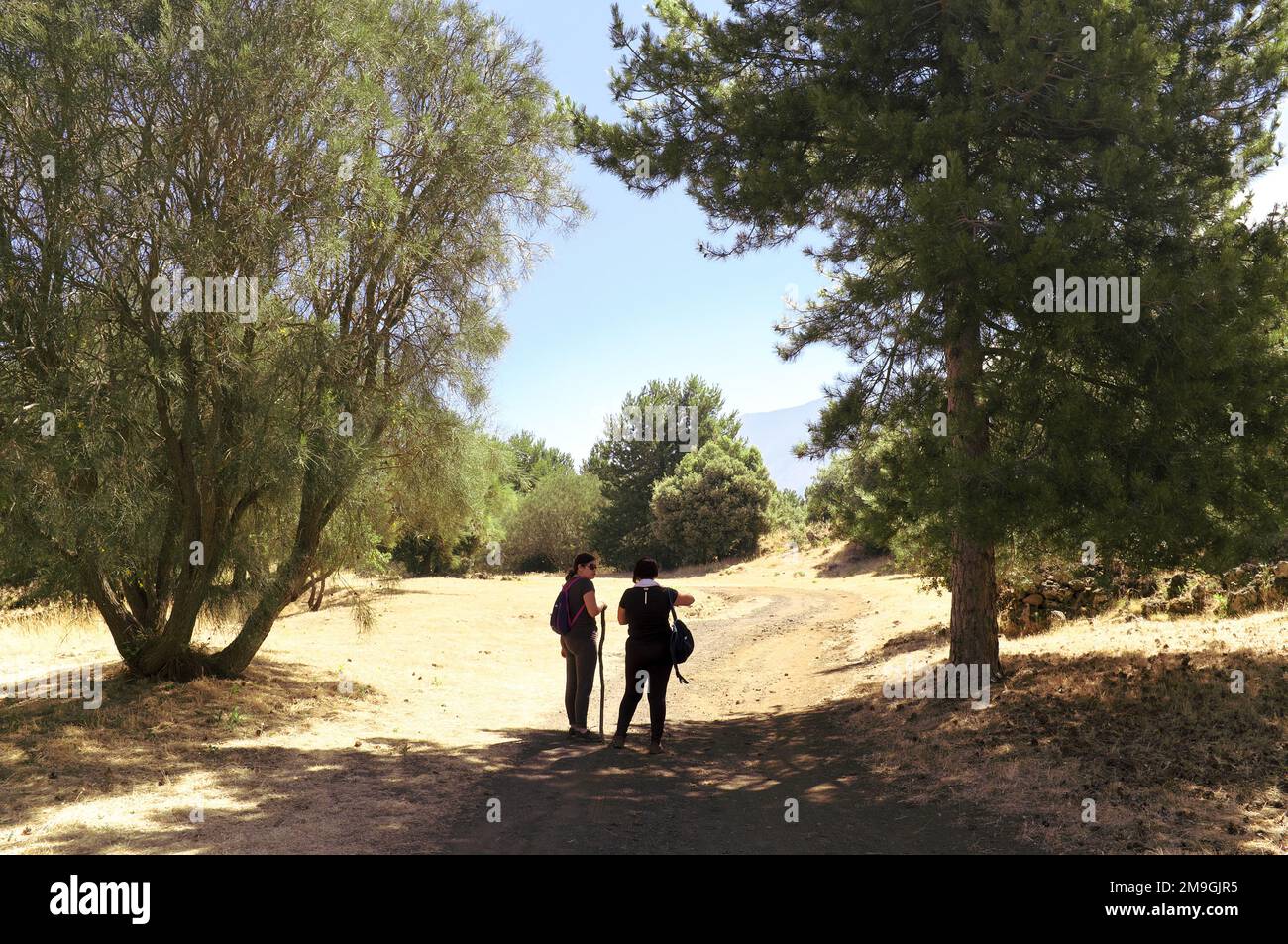 Due escursionisti sono in piedi all'ombra su un sentiero in Sicilia nel caldo estivo, Parco Nazionale dell'Etna, Italia Foto Stock