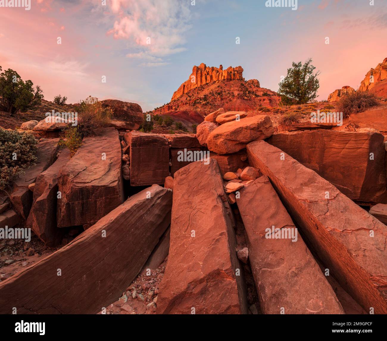Formazioni rocciose nel deserto al tramonto, Grand Staircase-Escalante National Monument, Utah, USA Foto Stock